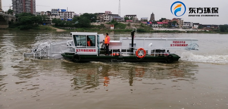 202442216245962 (1).jpg